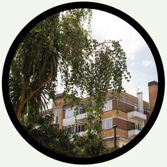 SW2 & Friends // Hither Green Glide / For The People 12"