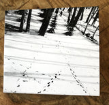 tarxun and Siavash Hakim // Hiraeth CD