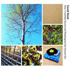 Candi Nook // How I Invented Sound And Redesigned The Human Ear 2xCD