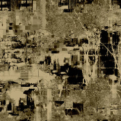 Endlings // Human Form LP