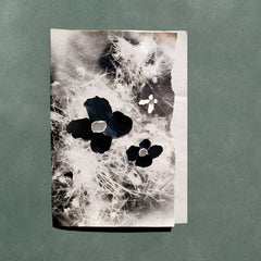 Iceblink // Carpet Cocoon LP