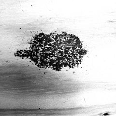 Parenthetical // Void TAPE
