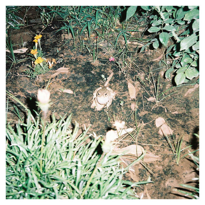 O Morto // Ifrits Habitent TAPE