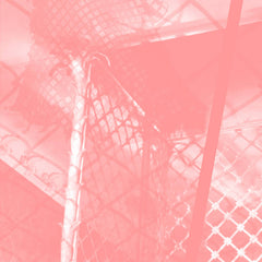 PINKCOURTESYPHONE // All Intensive Purposes CD