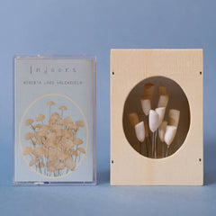 Roberta Lazo Valenzuela // Indoors TAPE