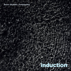 Burkhard Beins, John Butcher, Werner Dafeldecker // Induction LP