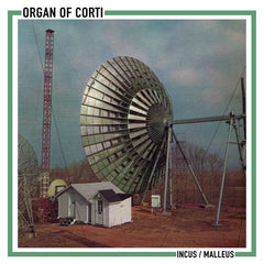 Organ of Corti // Incus / Malleus 7inch