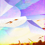 FeLid // IN TAPE