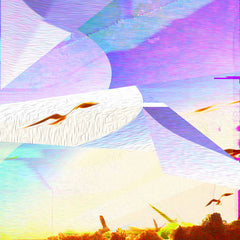 FeLid // IN TAPE