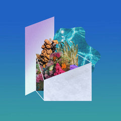 Ki Oni // Stay Indoors and Swim TAPE