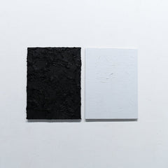 Jackson-Pratt & Shredded Nerve // Split CD