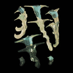 Rainforest Spiritual Enslavement // Jellyfish Reproduce Black Magic LP