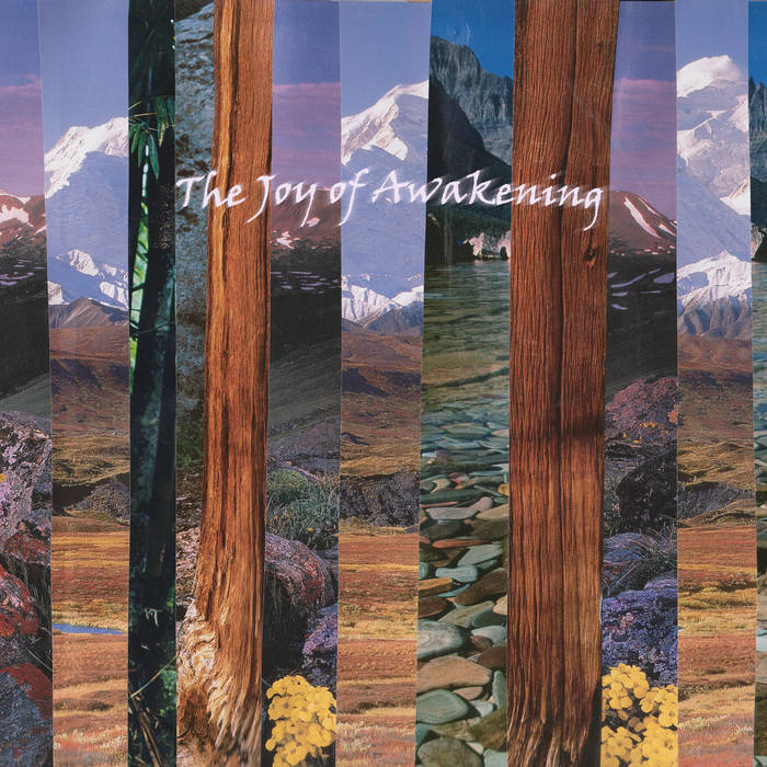 gkfoes vjgoaf // The Joy of Awakening LP