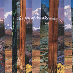 gkfoes vjgoaf // The Joy of Awakening LP