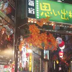Surprise Barbue // Kabukichō LP