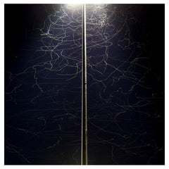 Kate Rissiek // Decayed Signals LP
