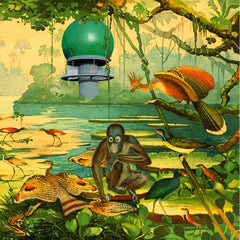Various Artists (Discrepant) // Radar Keroxen Vol.2 LP