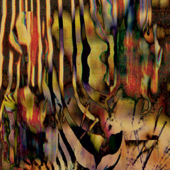 Jemh Circs // (untitled) Kingdom 2xLP