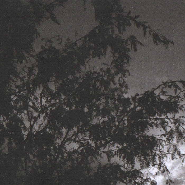 The Skull Mask // La Muerte Es Sabia TAPE