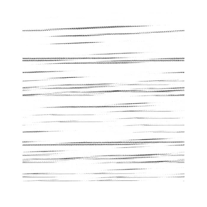 Glyn Maier // Indefinite Lattices 12"