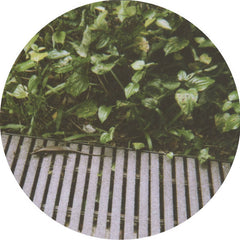 O.M.Theorem // Lemma2 12"