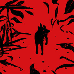 Rosso Polare // Cani Lenti CD