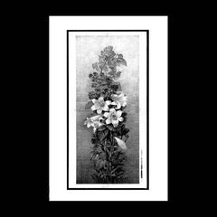Scald Hymn // Lilac Drain TAPE