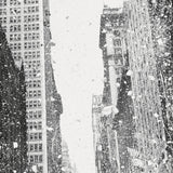 Celer // Wait For A Little Longer CD