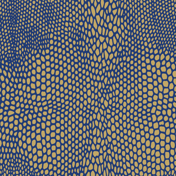 Vesu´s // List Of Lizards II LP