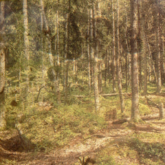 Carlo Giustini / Banished Pills // L’ombra del giardino SPLIT TAPE