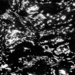 Grouper // A I A : Dream Loss LP