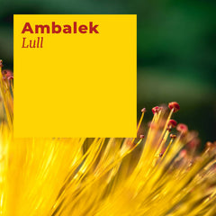 ambalek // Lull TAPE
