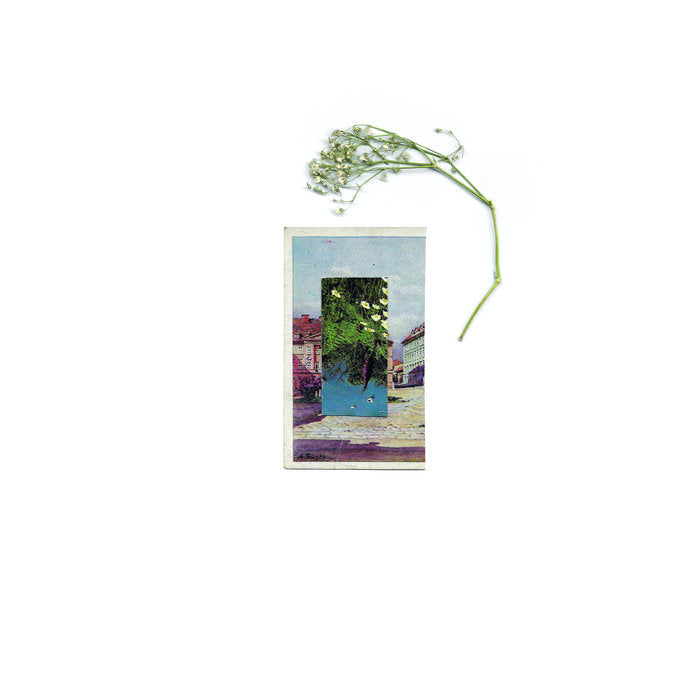 Blanket Swimming // In Flower Made Masses LP