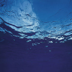 Akira Ito // Marine Flowers (Science Fantasy) LP