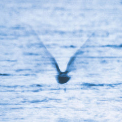 Ryo Fukui // Mellow Dream LP