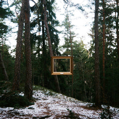 Sciahri // Metamorphosis 12"