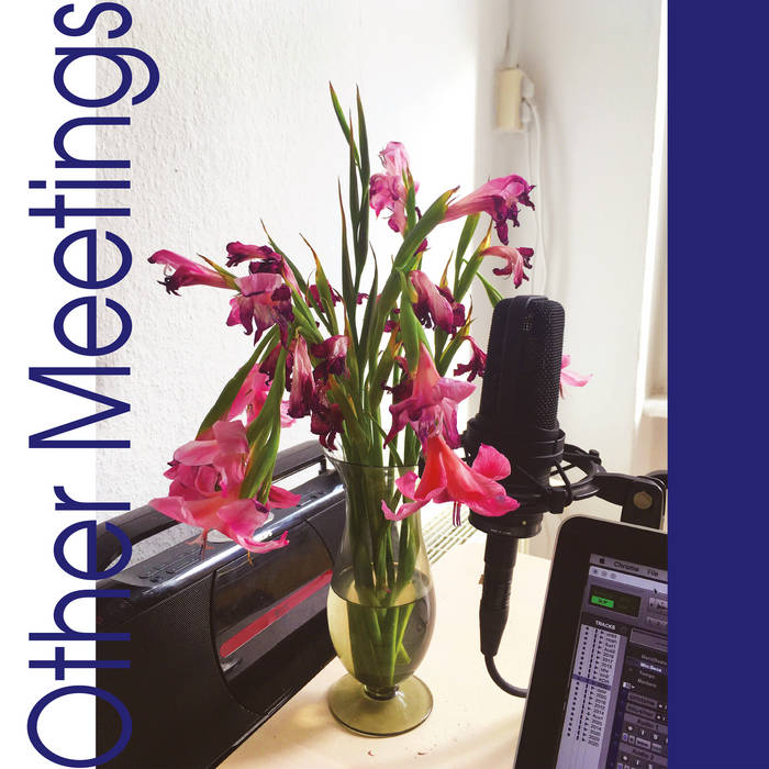 crys cole // Other Meetings LP