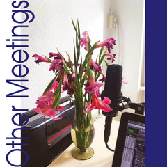 crys cole // Other Meetings LP
