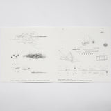 Mads Emil Nielsen + V.A. // Framework 2 2x10inch+ PRINTS