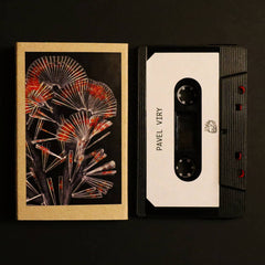 Pavel Viry // Morsures de midges et de sandflies TAPE