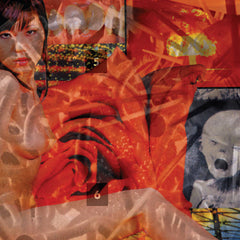 Painjerk // Mission Invisible - Kill The Poor 2xLP