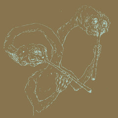 Bloedneus & de Snuitkever // MILLI MILLE LP