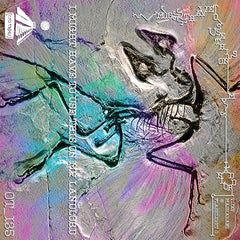 Vijay Masharani & Flashlight O // I Might Have To Use This On My Landlord TAPE