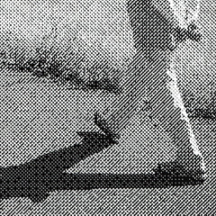 Florian T M Zeisig // Walking Mix TAPE