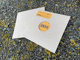SP:MC // Missing You / Big Request 12"