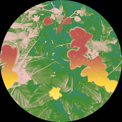 Nature Unit // Nature Unit 12"
