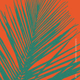 Đ.K. // Eighteen Movements LP