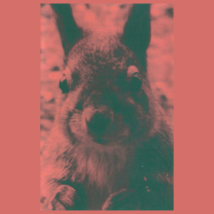 Market // Motorella TAPE