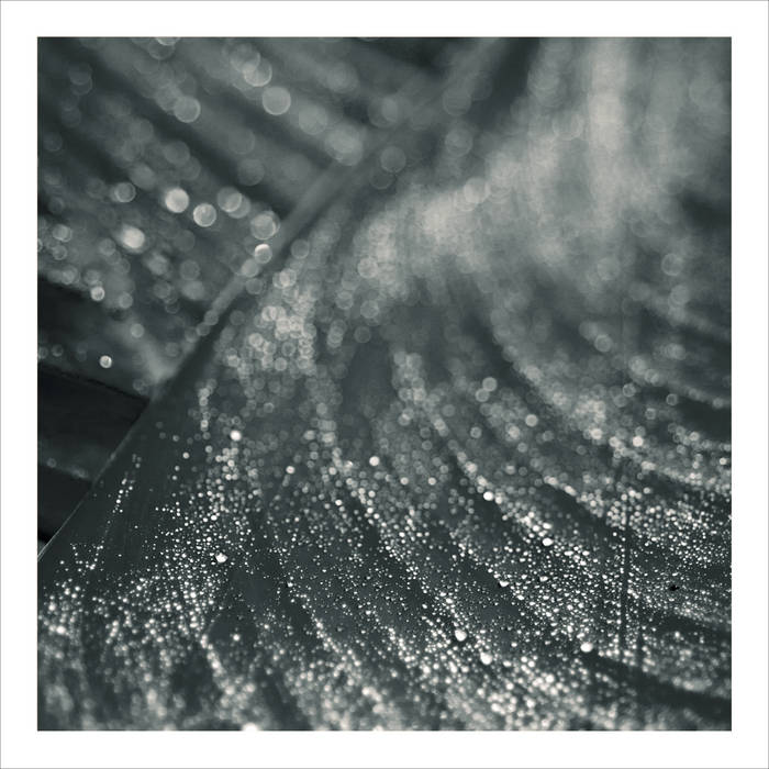 Moss // Moss (Recur) TAPE