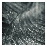 Moss // Moss (Recur) TAPE